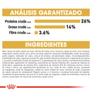 Royal Canin Chihuahua Adulto 1.1 kg - Alimento Seco Chihuahua Adulto