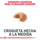 Royal Canin Bulldog Francés Adulto 7.7 kg - Alimento Seco French Bulldog