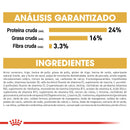 Royal Canin Bulldog Francés Adulto 7.7 kg - Alimento Seco French Bulldog