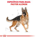 Royal Canin Pastor Aleman Adulto 13.6 kg - Alimento Seco Pastor Alemán