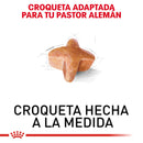 Royal Canin Pastor Aleman Adulto 13.6 kg - Alimento Seco Pastor Alemán