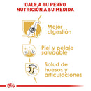 Royal Canin Pastor Aleman Adulto 13.6 kg - Alimento Seco Pastor Alemán