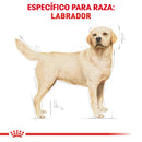 Royal Canin Labrador Retriever Adulto 13.63 kg - Alimento Seco Labrador Adulto