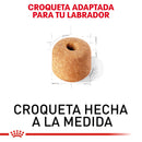 Royal Canin Labrador Retriever Adulto 13.63 kg - Alimento Seco Labrador Adulto