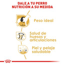 Royal Canin Labrador Retriever Adulto 13.63 kg - Alimento Seco Labrador Adulto