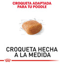 Royal Canin Poodle Adulto 4.54kg - Alimento Seco Poodle Adulto