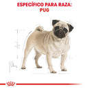 Royal Canin Pug Adulto 1.13kg - Alimento Seco Pug Adulto