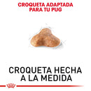 Royal Canin Pug Adulto 1.13kg - Alimento Seco Pug Adulto