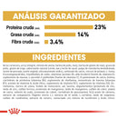 Royal Canin Pug Adulto 1.13kg - Alimento Seco Pug Adulto