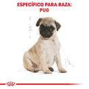Royal Canin Pug Puppy 1.13kg - Alimento Seco Pug Cachorro