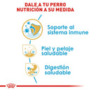 Royal Canin Shih-Tzu Puppy 1.1kg - Alimento Seco Shih-Tzu Cachorro