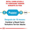 Royal Canin Yorkshire Terrier Puppy 1kg - Alimento Seco Yorkshire Terrier Cachorro