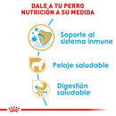 Royal Canin Yorkshire Terrier Puppy 1.13kg - Alimento Seco Yorkshire Terrier Cachorro