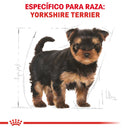 Royal Canin Yorkshire Terrier Puppy 1kg - Alimento Seco Yorkshire Terrier Cachorro