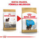 Royal Canin Yorkshire Terrier Puppy 1.13kg - Alimento Seco Yorkshire Terrier Cachorro
