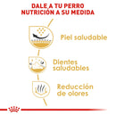 Royal Canin Shih-Tzu Adulto 4.54kg - Alimento Seco Shih-Tzu Adulto