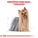 Royal Canin Yorkshire Terrier Adulto 1kg - Alimento Seco Yorkshire Terrier Adulto