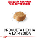 Royal Canin Yorkshire Terrier Adulto 1kg - Alimento Seco Yorkshire Terrier Adulto