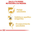 Royal Canin Yorkshire Terrier Adulto 1kg - Alimento Seco Yorkshire Terrier Adulto