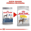 Royal Canin Large Sensitive Skin Care Dermaconfort Maxi  13.6kg - Alimento para perro