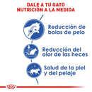 Royal Canin Indoor Adult 3.18 kg - Alimento Seco Para Gato Adulto