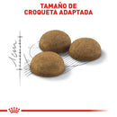 Royal Canin Indoor Adult 3.18 kg - Alimento Seco Para Gato Adulto