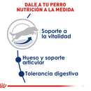 Royal Canin Large/Maxi Adult 5+ 13.6 kg - Alimento Seco Perro Senior Raza Grande