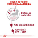 Royal Canin Medium Adult 2.72 kg - Alimento Seco Perro Adulto Raza Mediana