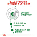 Royal Canin Small/Mini Adult 13.6kg - Alimento Seco Perro Adulto Raza Pequeña