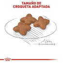 Royal Canin Small/Mini Adult 13.6kg - Alimento Seco Perro Adulto Raza Pequeña