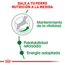 Royal Canin Small/Mini Mature 8+ 1.1kg - Alimento Seco Perro Senior Raza Pequeña