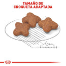 Royal Canin Small/Mini Mature 8+ 1.1kg - Alimento Seco Perro Senior Raza Pequeña