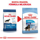 Royal Canin Large/Maxi Puppy 2.72 kg - Alimento Seco Perro Cachorro Raza Grande