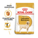 Royal Canin Labrador Retriever Adulto 13.63 kg - Alimento Seco Labrador Adulto