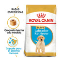 Royal Canin Labrador Retriever Puppy 13.63 kg - Alimento Seco Labrador Cachorro