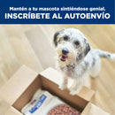 Hill's Prescription Diet Derm Complete Alergias ambientales y alimentarias 2.9kg- Alimento Seco Perro