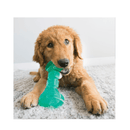 KONG Squeezz Hueso Dental Medium - Juguetes Morder Perro