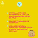 Un Dos Treats Catgrass Seeds Semillas de Avena y Cebada Para Gatos - Premios para gatos