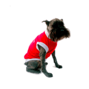 Playera Aberdoggie and Fetch - Accesorios