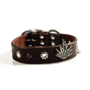 Tolome Collar Agave para Perro - Accesorios