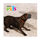 Fancy Pets Bozal con Forro de Malla Intermedio para Perros - Accesorios