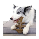 Benebone Fishbone Mediano 1 pza - Premios para perro