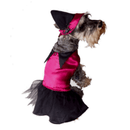 Disfraz de Bruja - Accesorios