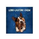 Purina Busy sabor Tocino - Premios para Perro