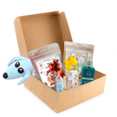 CuidaBox Navideña - Juguete, Premios, Perfume, Farmacia para perros