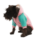 Sudadera Candy Hoodie - Accesorios
