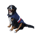 Capa Puffy Para Perro - Accesorios