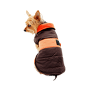 Capa Puffy Para Perro - Accesorios