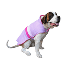 Capa Puffy Para Perro - Accesorios