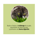 Un Dos Treats Catgrass Mix Avena y Cebada - Premios para gato